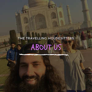 About The Travelling House Sitters