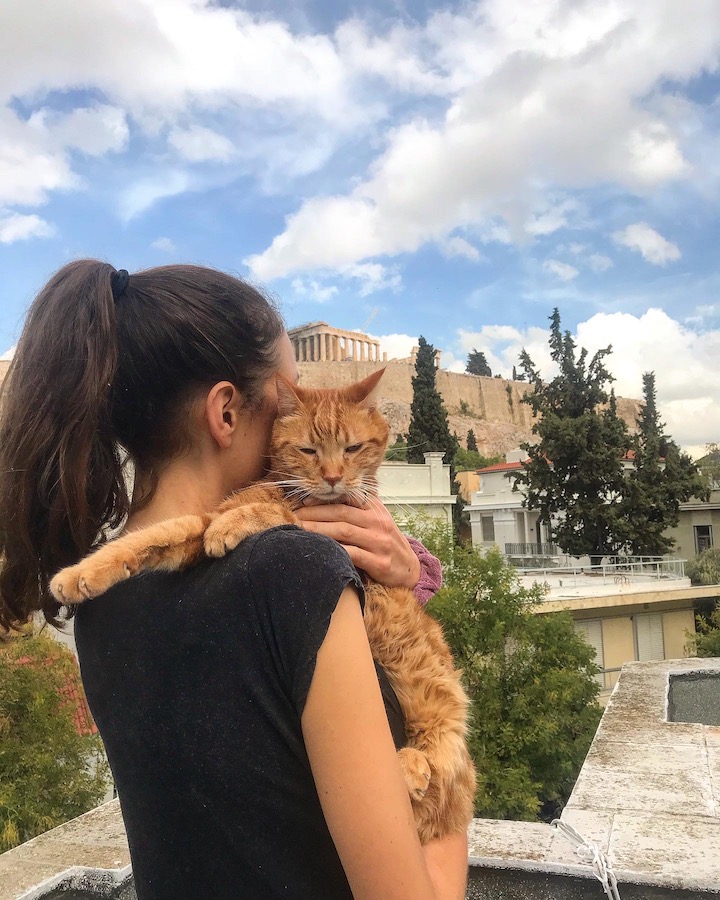 House Sitting in Athens Greece