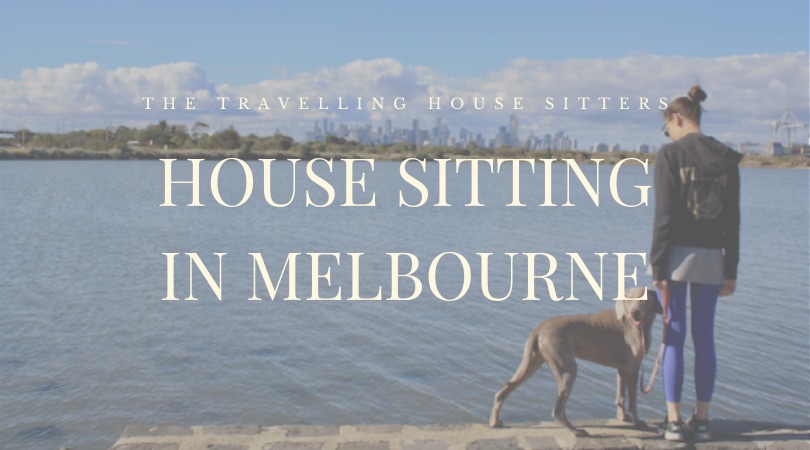 House Sitting in Melbourne