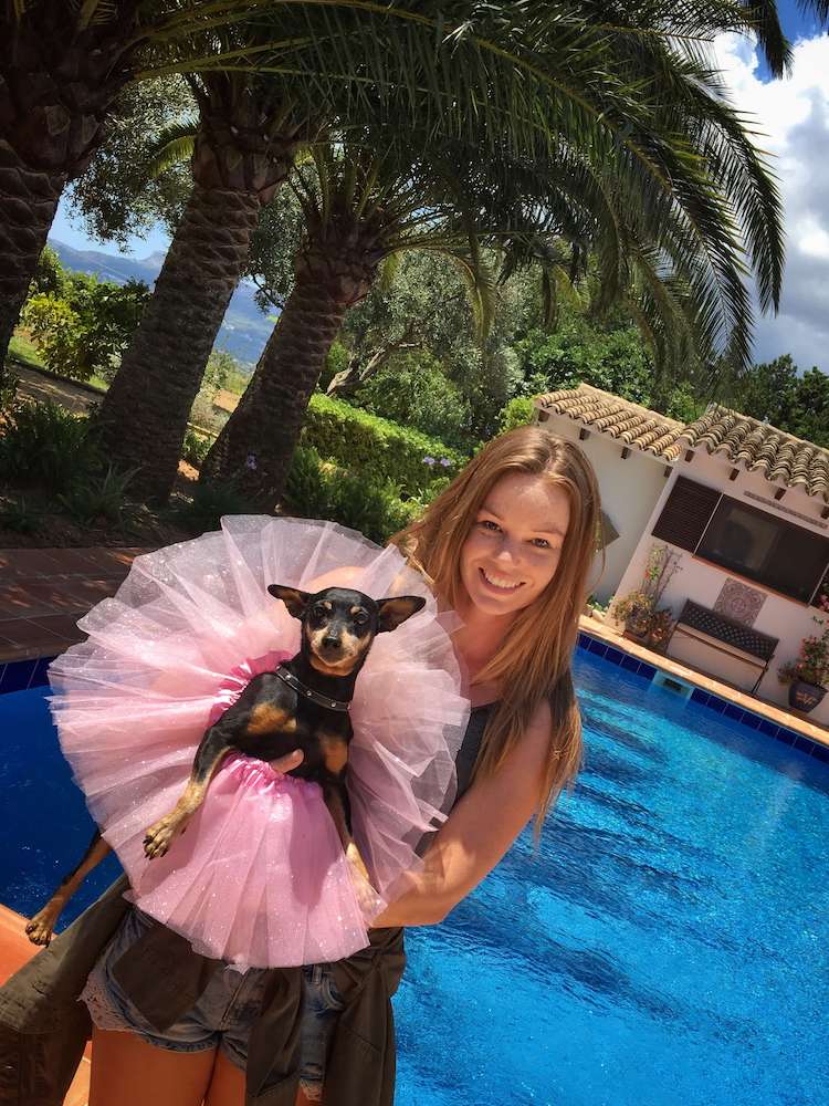 Michelle house sitting Ziggy the Dog