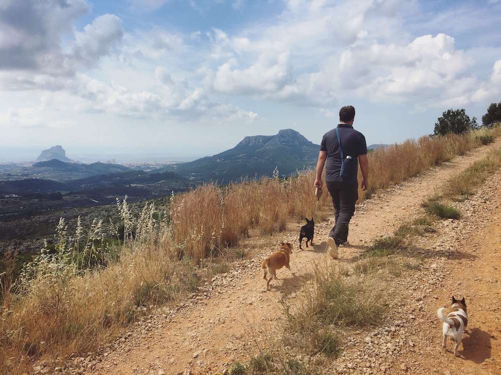 George dog walking in Spain